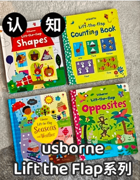 usborne lift the flap 系列